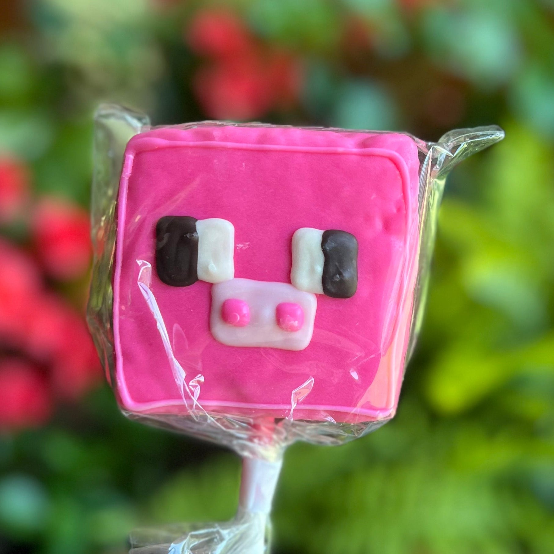 Summer Decorated Rice Krispy Treats