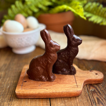 Traditional Chocolate Bunny